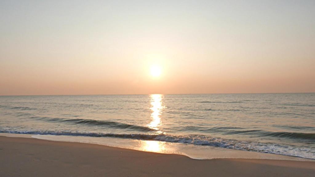 Hung Do Beach Homestay Hoi An Esterno foto